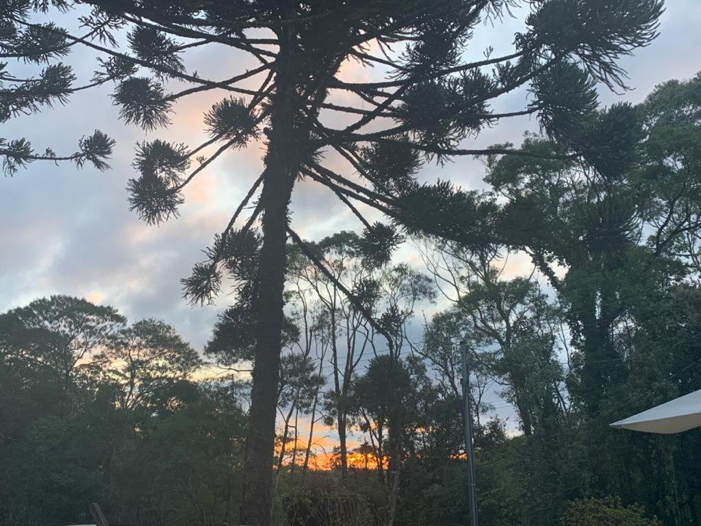 Casa De Campo Em غرامادو المظهر الخارجي الصورة